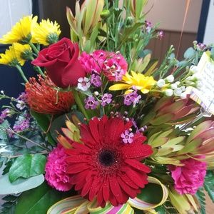 Meet your Posher, Jodi